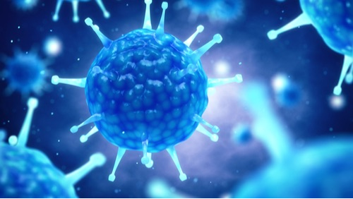 Zinc puts out the fire in chronic infections