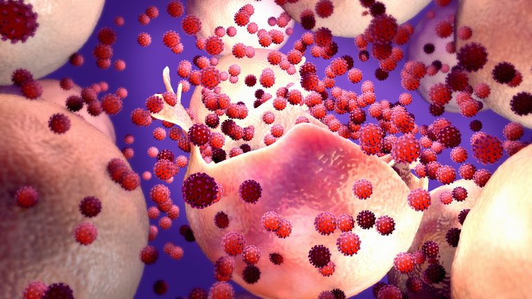 The Calcium/Virus Connection