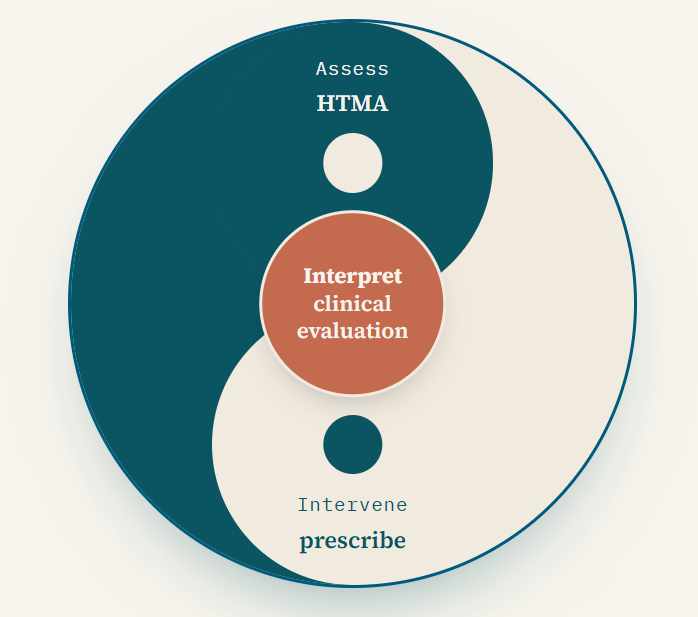 Assess, Interpret, Intervene diagram
